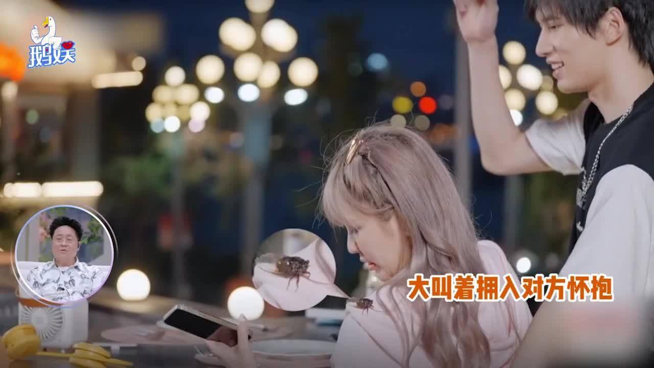 ST鸿达股票及可转债今起停牌 存在被终止上市风险